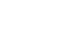 Boss Ladies FGU logo